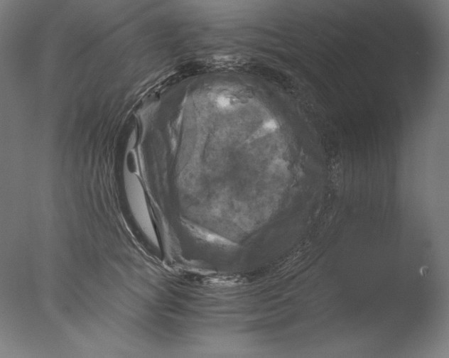 X0000076330757200610201704