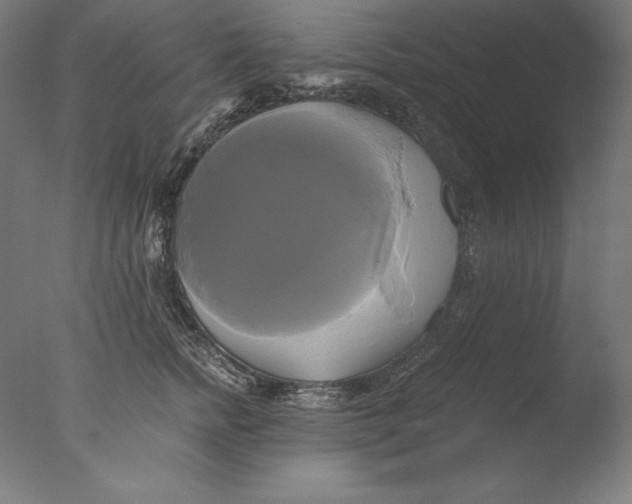 X0000076330758200610201704