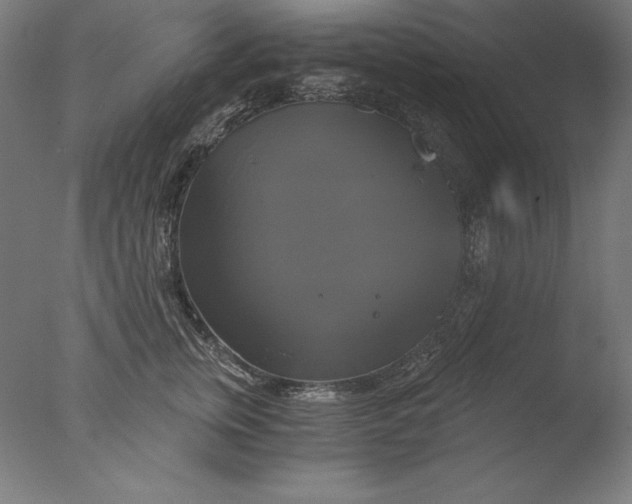 X0000076330759200610201704