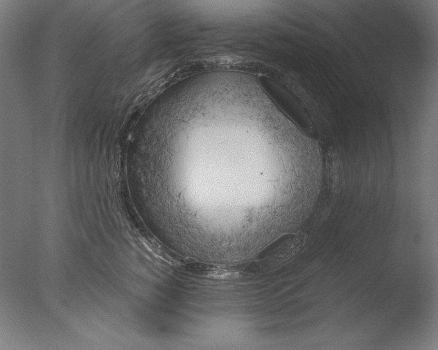 X0000076330760200610201704