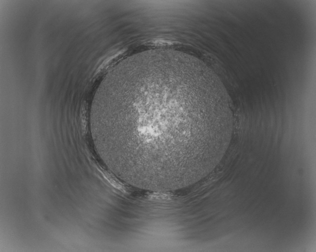 X0000076330762200610201704