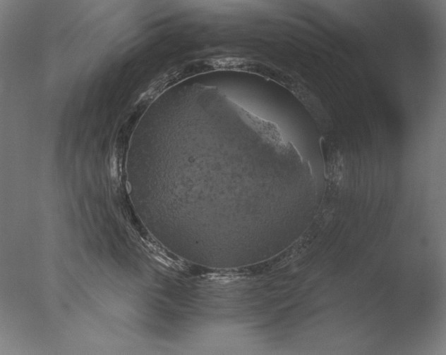 X0000076330763200610201704