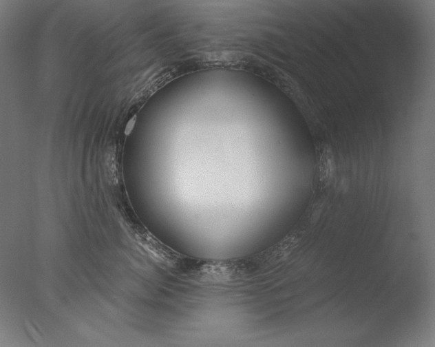 X0000076330764200610201704