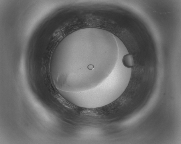 X0000076330765200610201704