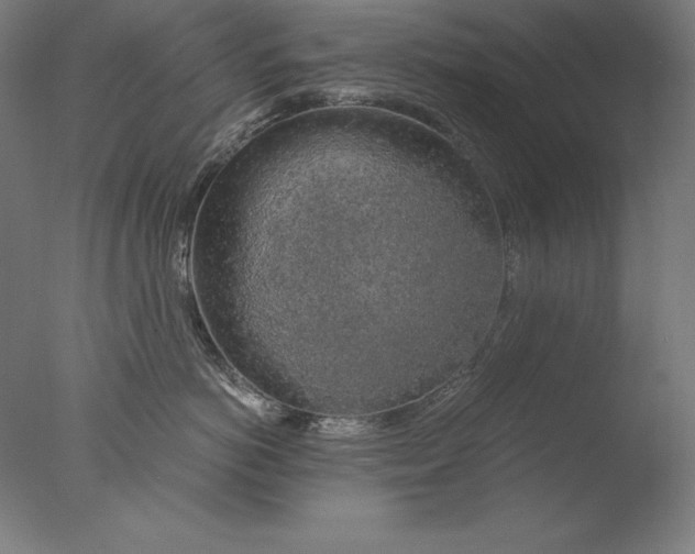 X0000076330766200610201704