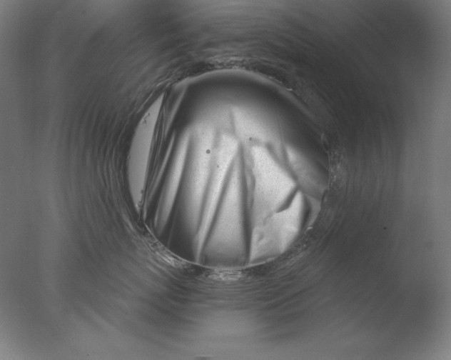 X0000076330767200610201704