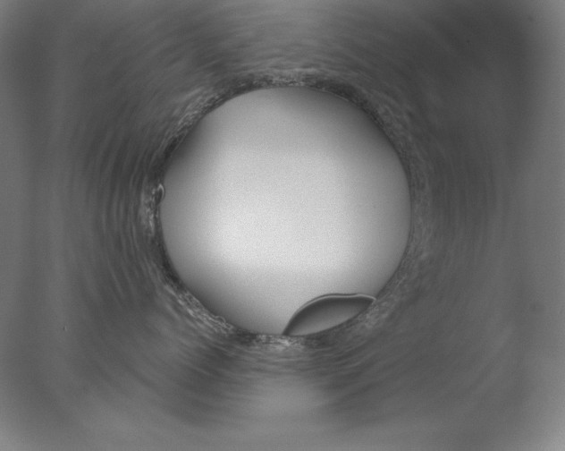 X0000076330768200610201704