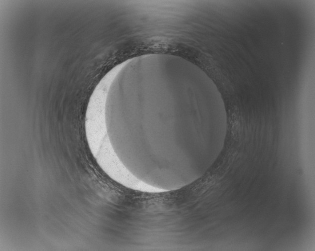 X0000076330769200610201704