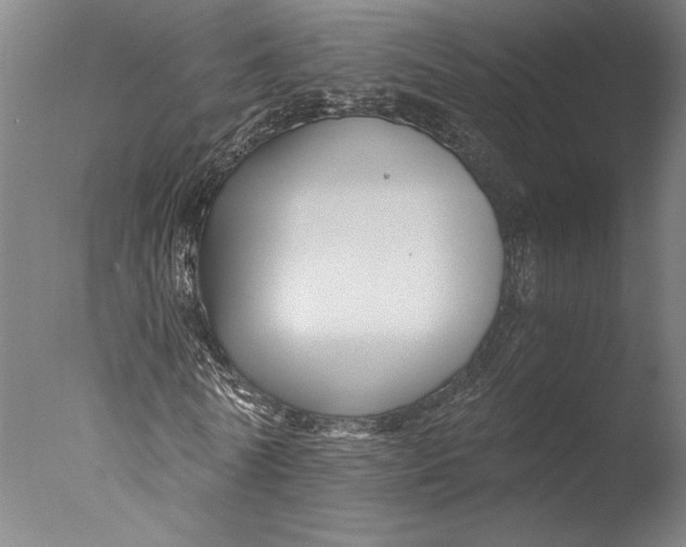 X0000076330770200610201704