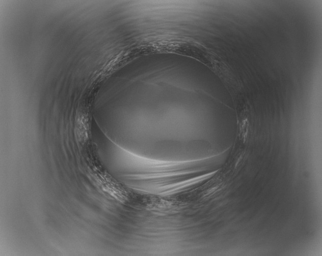 X0000076330772200610201704