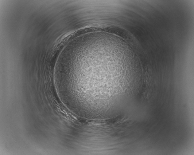 X0000076330773200610201704