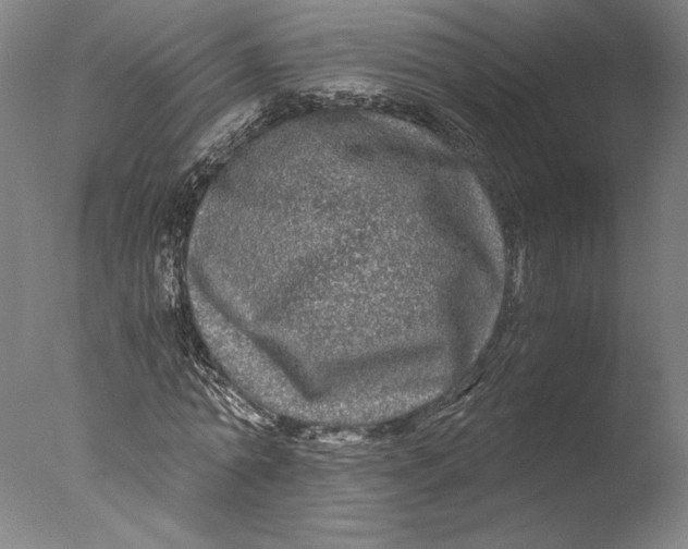 X0000076330774200610201704