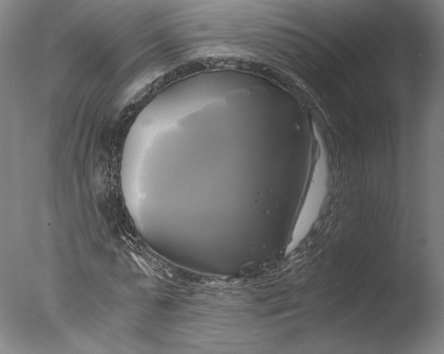 X0000076330775200610201704