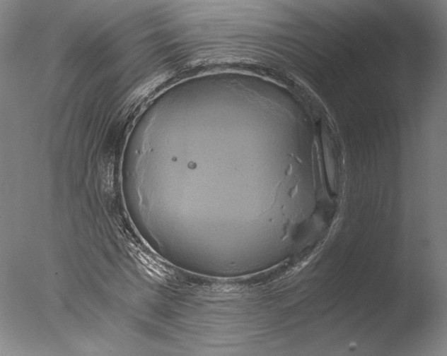 X0000076330777200610201704