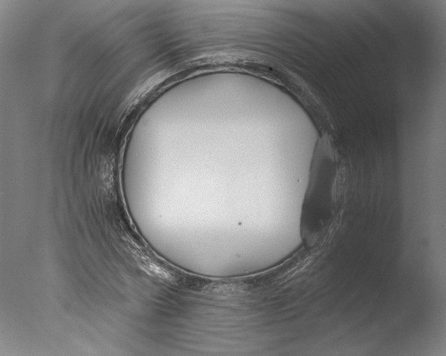 X0000076330778200610201703