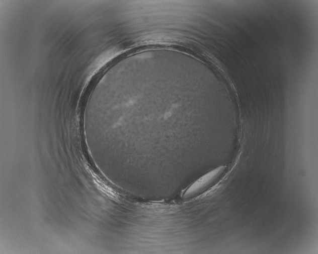 X0000076330779200610201703