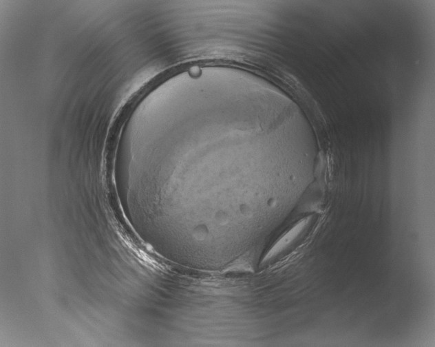 X0000076330780200610201703