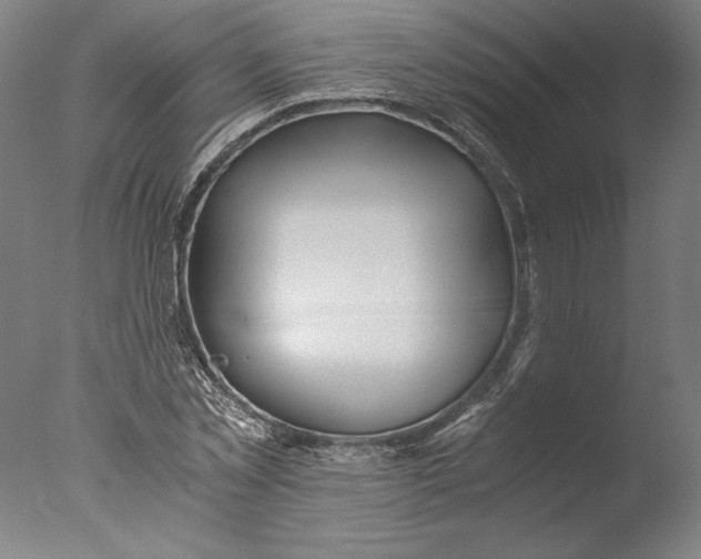 X0000076330781200610201703