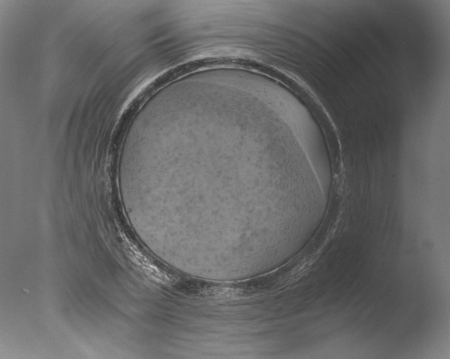 X0000076330783200610201703