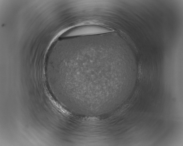 X0000076330784200610201703