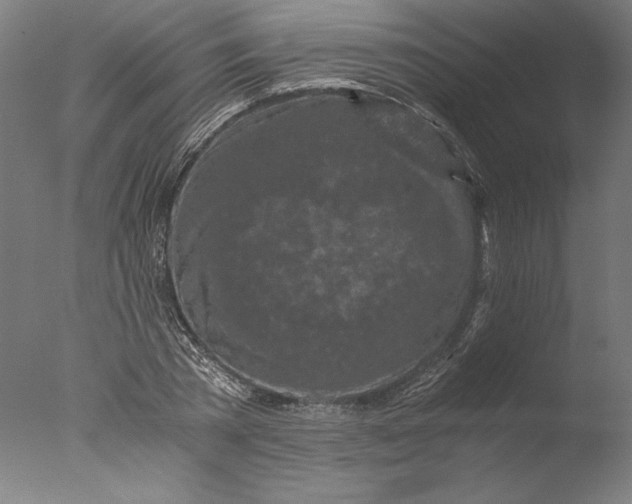 X0000076330785200610201703