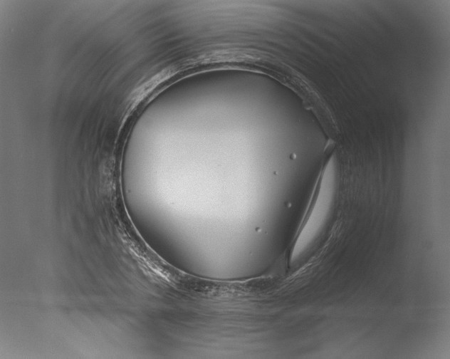 X0000076330786200610201703