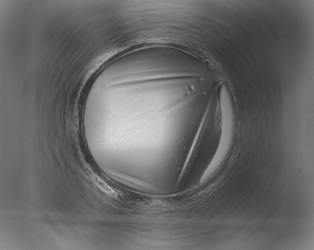 X0000076330787200610201703