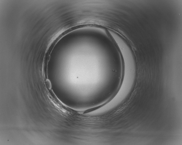 X0000076330788200610201703