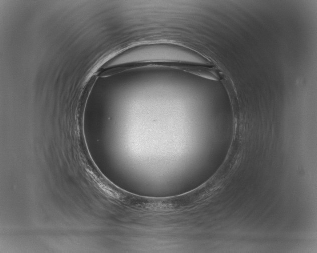 X0000076330789200610201703