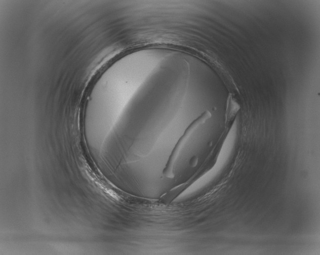 X0000076330790200610201703