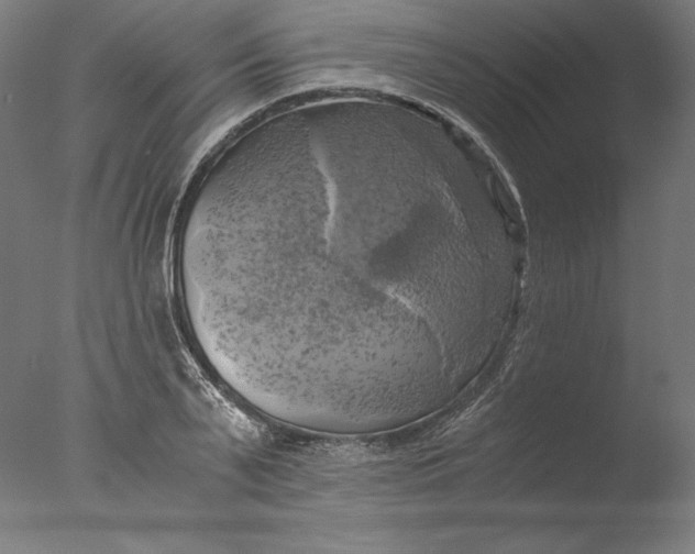 X0000076330791200610201703