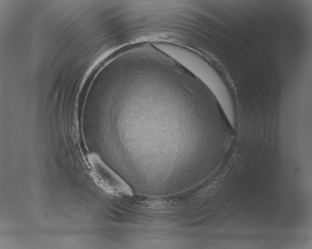 X0000076330792200610201703