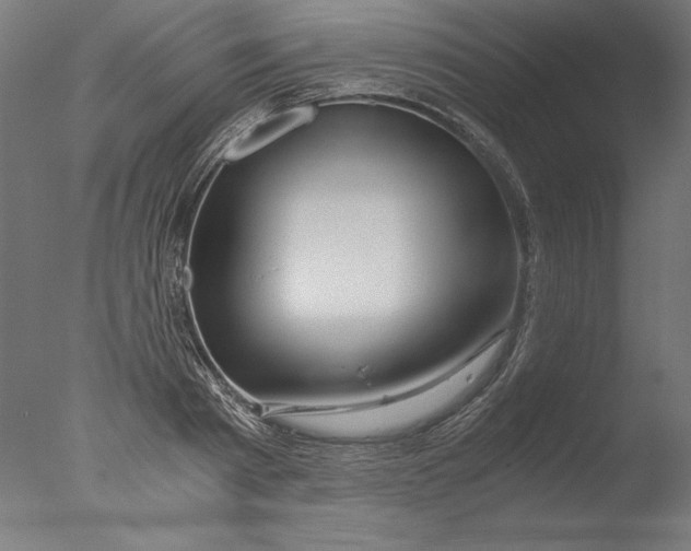 X0000076330793200610201703