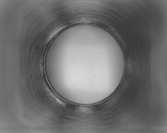 X0000076330794200610201703