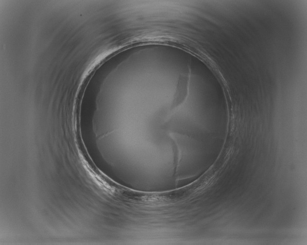 X0000076330795200610201703