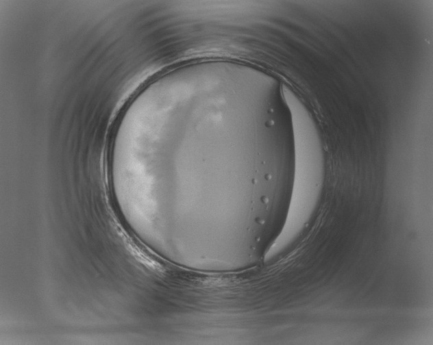 X0000076330796200610201703