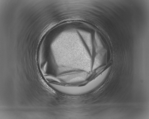 X0000076330797200610201703