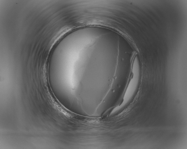 X0000076330798200610201703