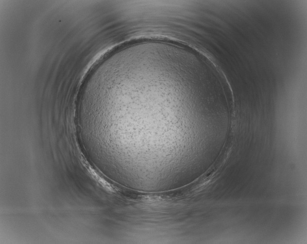 X0000076330799200610201703