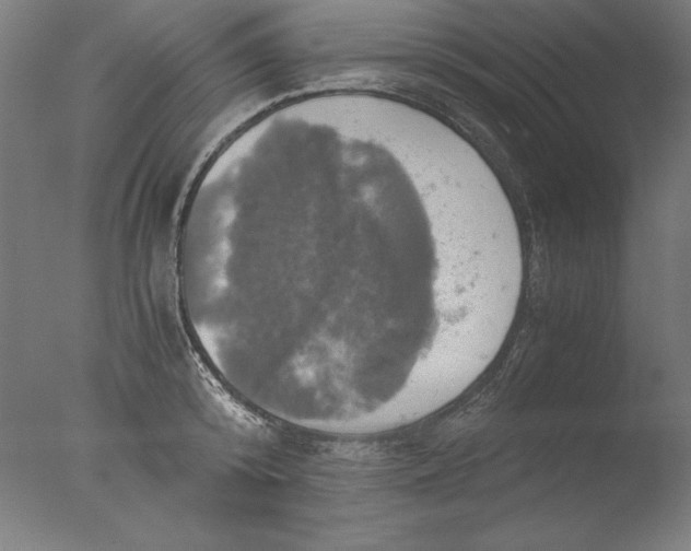 X0000076330800200610201703