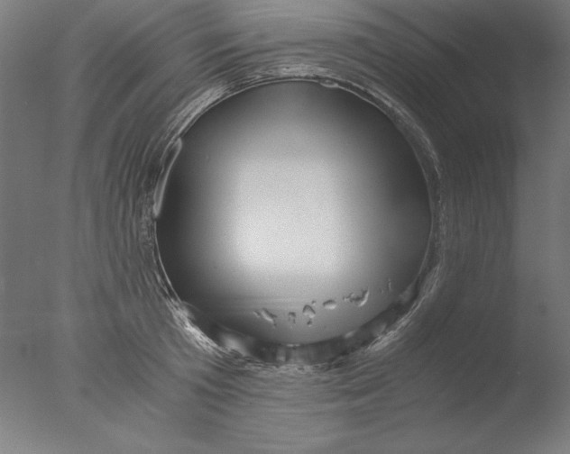 X0000076330801200610201703