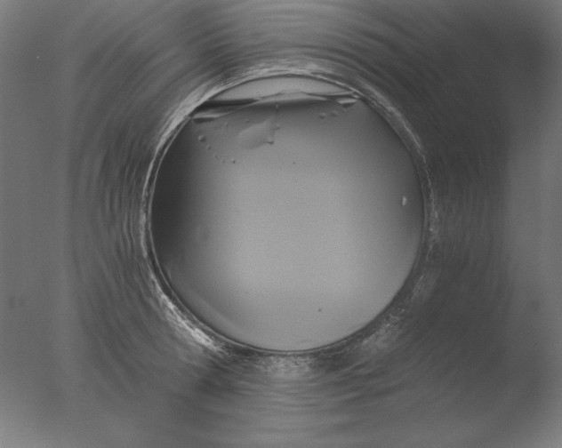 X0000076330802200610201703