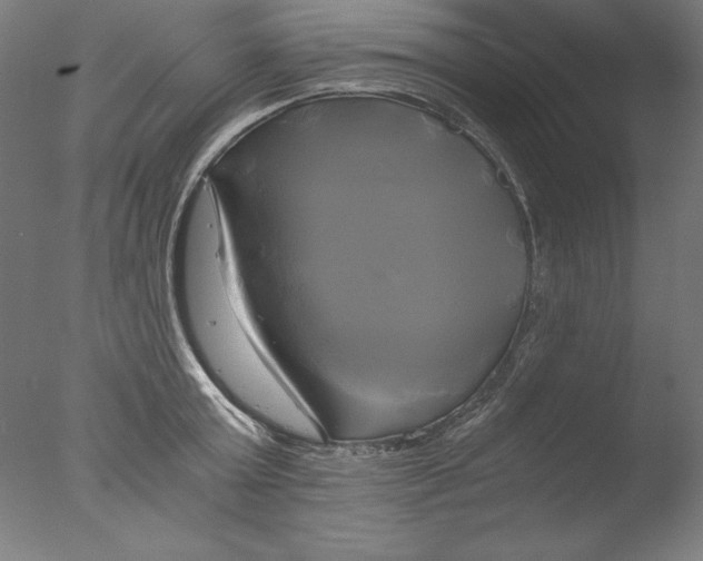 X0000076330803200610201703