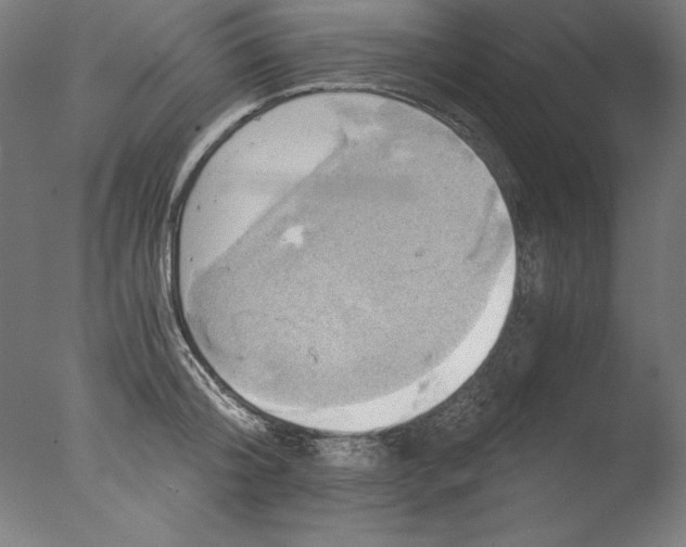 X0000076330804200610201703