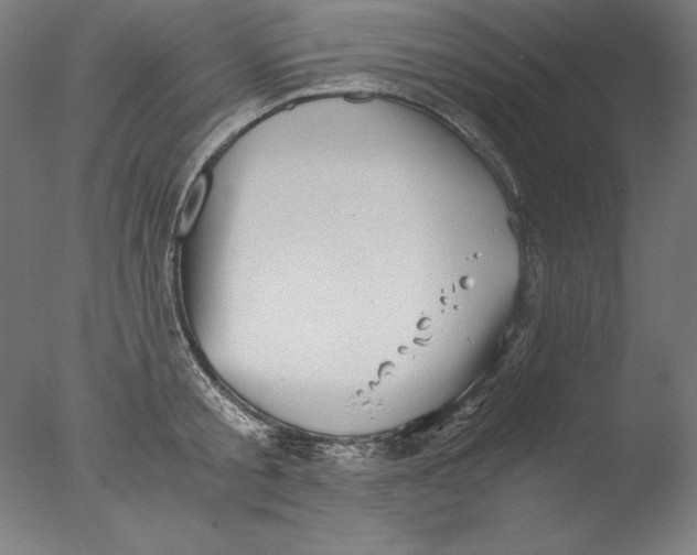 X0000076330805200610201703