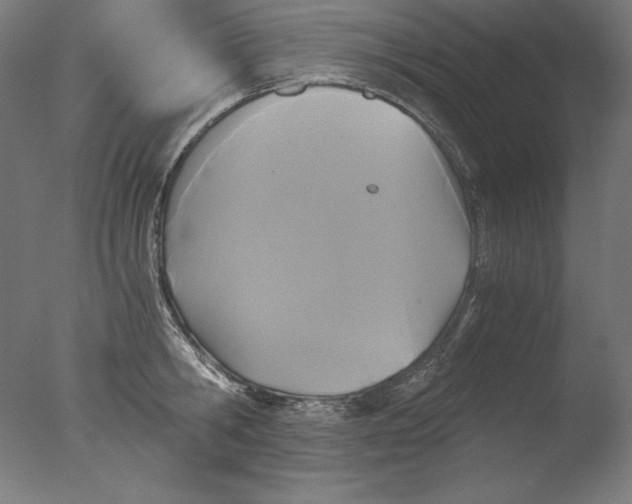 X0000076330806200610201703