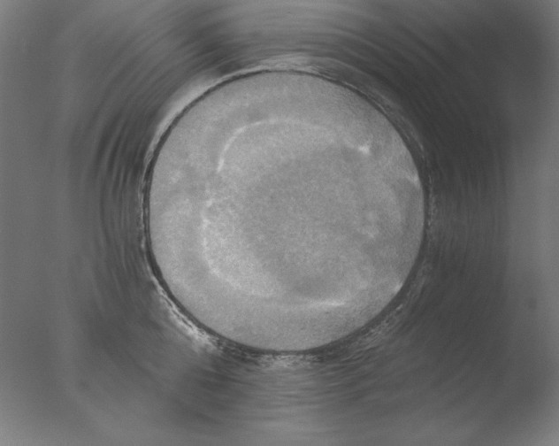 X0000076330808200610201703