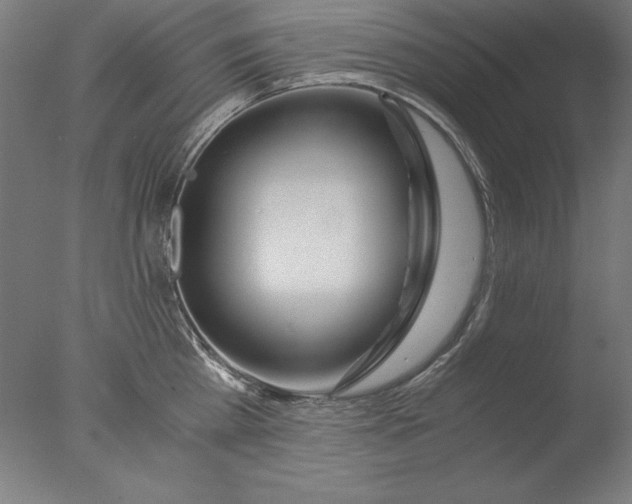 X0000076330809200610201703