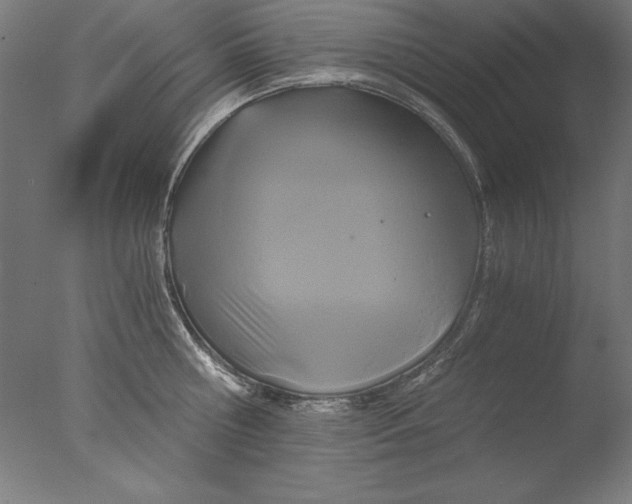 X0000076330810200610201703