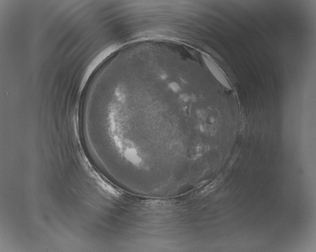 X0000076330812200610201703